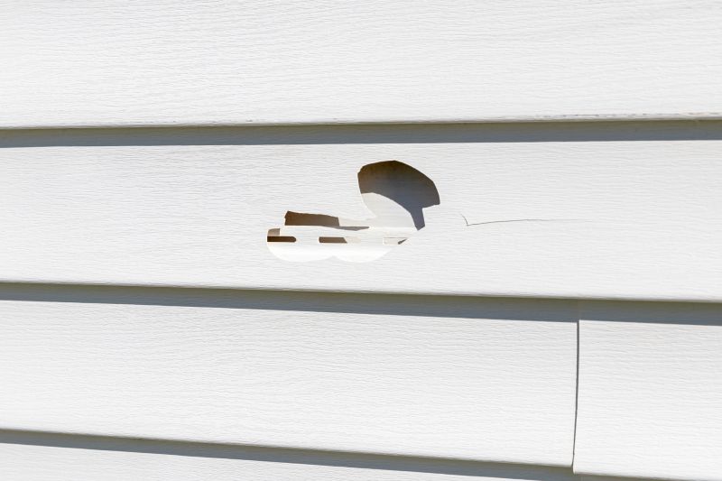 Vinyl Siding Repair Installation